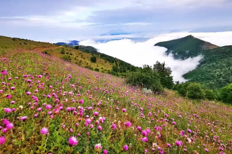سلانسر| سروستاهای گیلان| می هتل| بهار گیلان